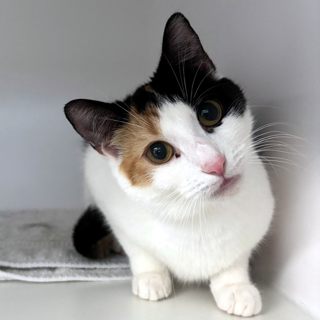 Photo of May Sta012978