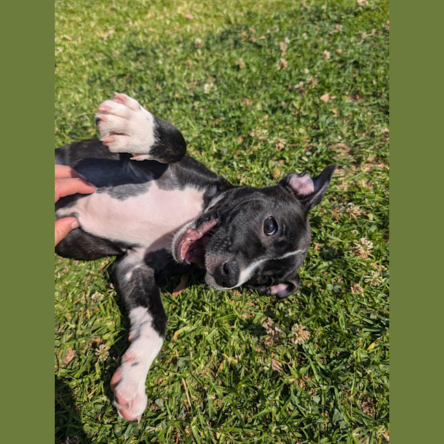 Photo of Mili