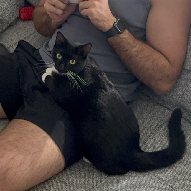 Photo of Miss Mog