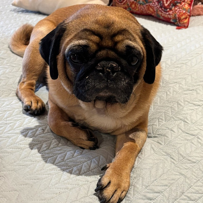 Photo of Fred And Mabel