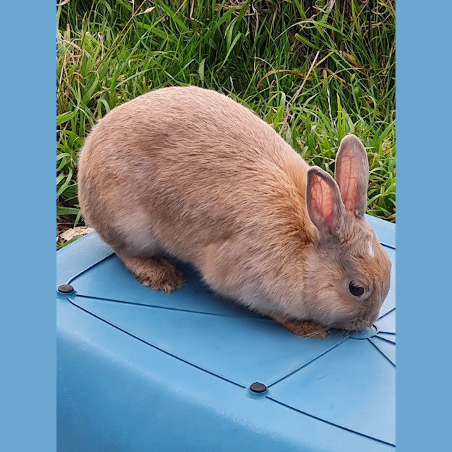 Photo of Spice Unity