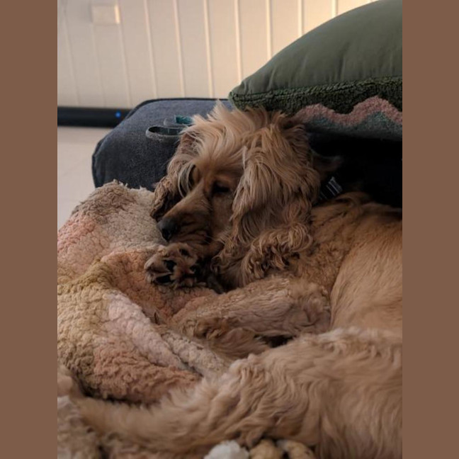 Photo of Walter