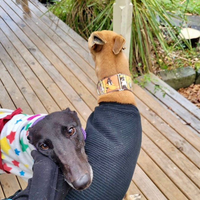 Photo of Jared (Jezza)