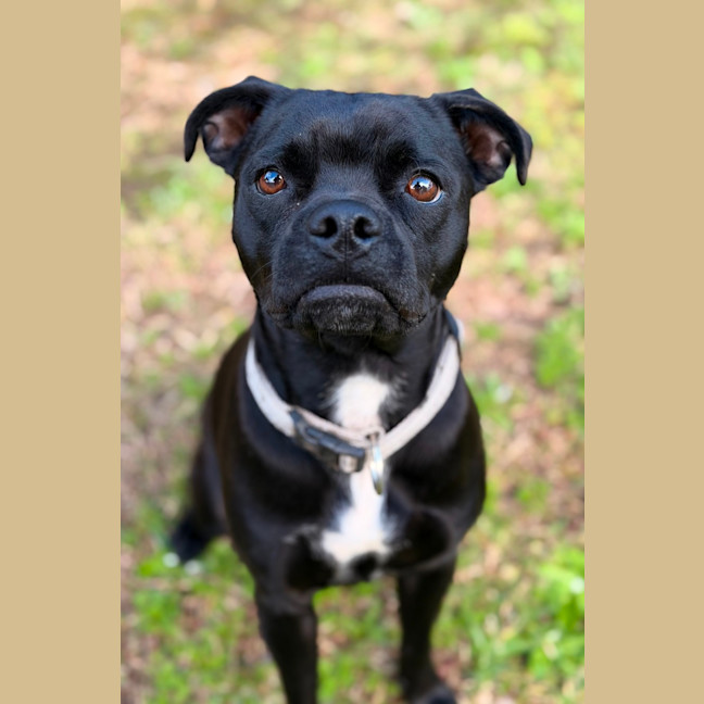 Photo of Freya