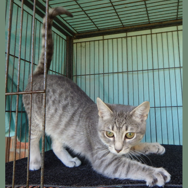 Photo of Brooke And Bruce