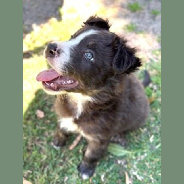 Photo of Ted