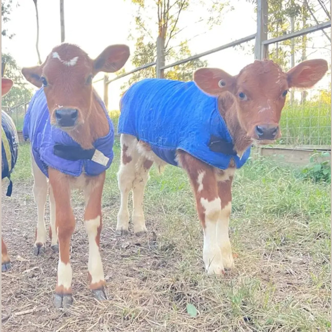 Photo of Georgie & Kosi