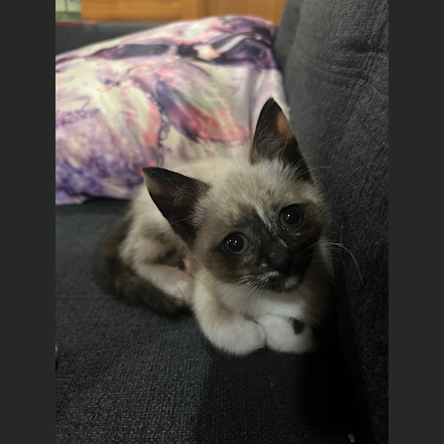 Photo of Riff