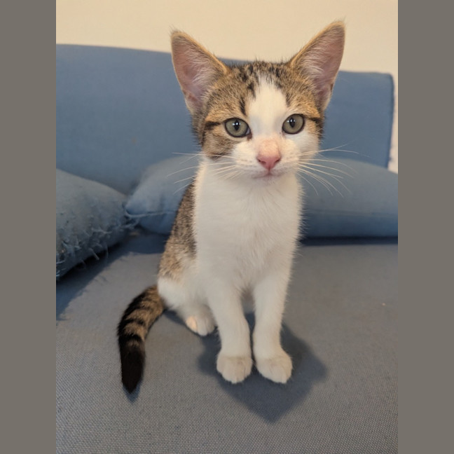 Photo of Sofia Scotty