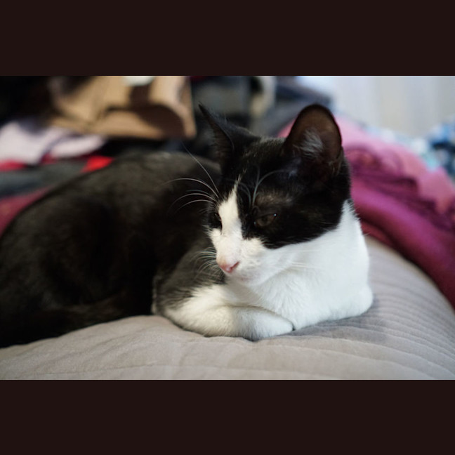 Photo of Elijah