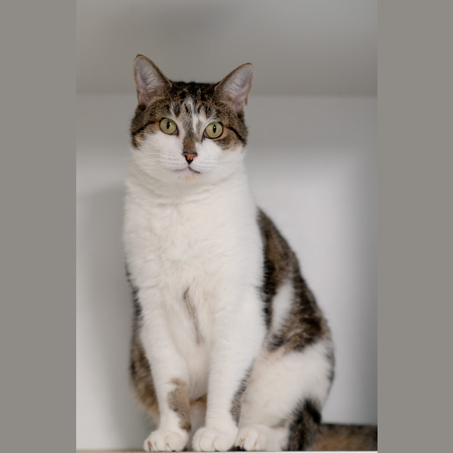 Photo of Zoom