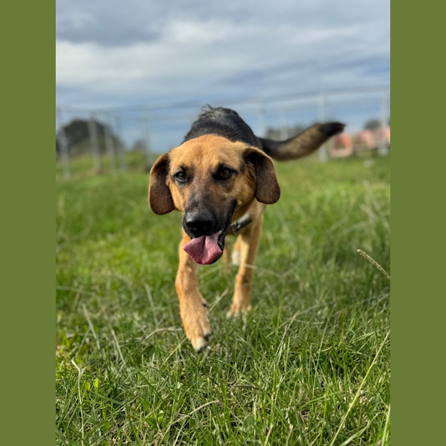 Photo of Cleo