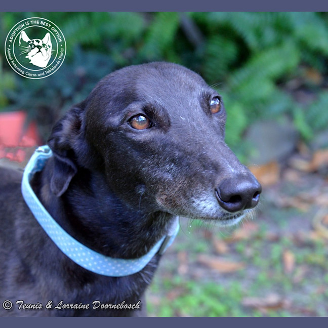 Photo of Conno (Kevin's Girl)