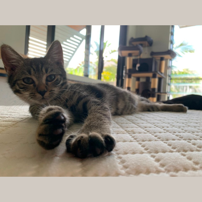 Photo of Luna