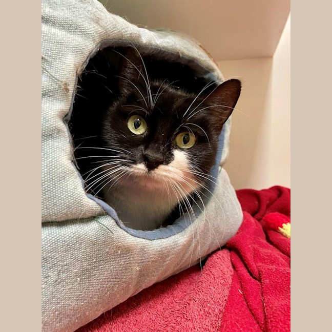 Photo of Evie Dwelly