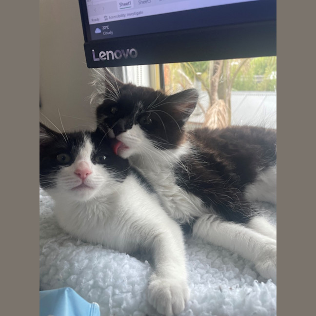 Photo of Penelope