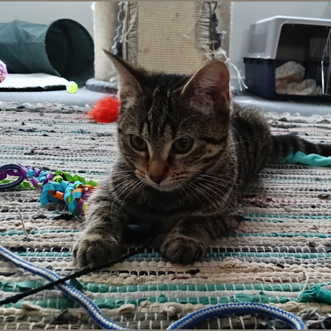 Photo of Selina