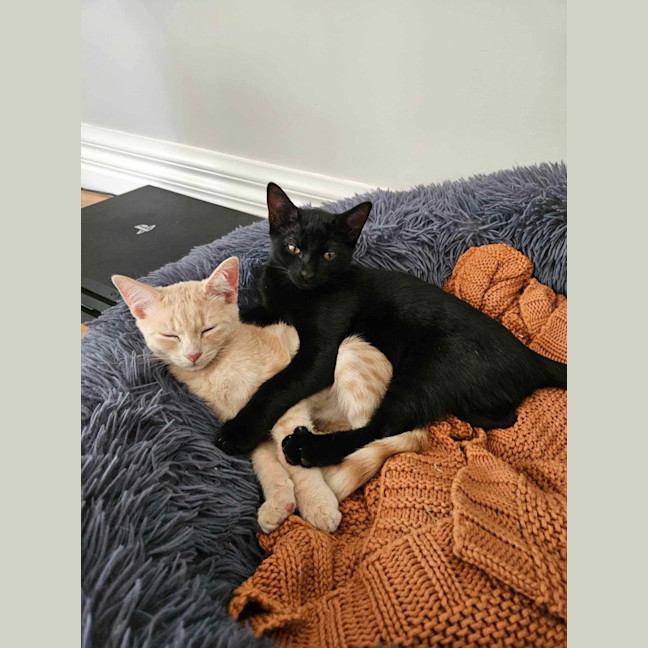 Photo of Ginny ❤️