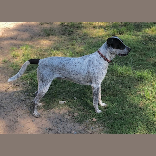 Photo of Chance