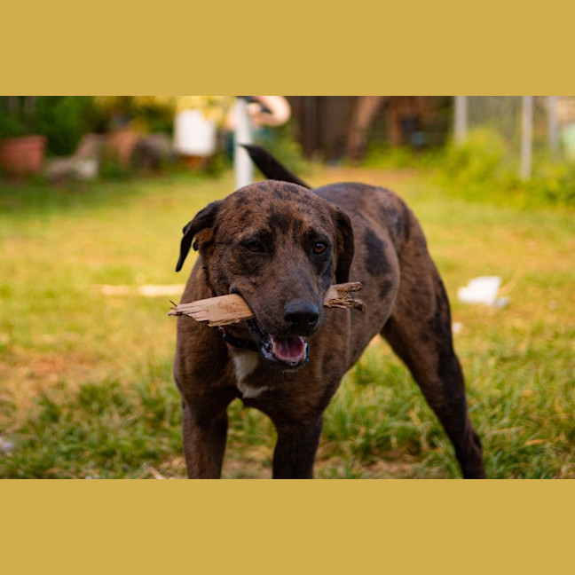 Photo of Lilah