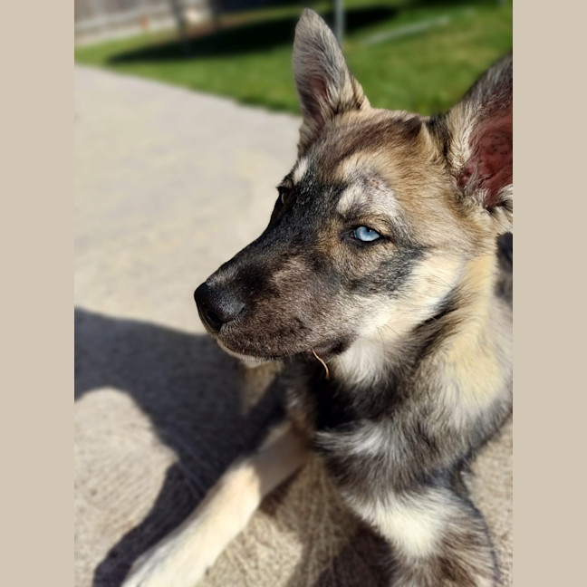 Photo of Judd Nelson