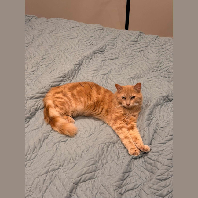Photo of Paw Paw