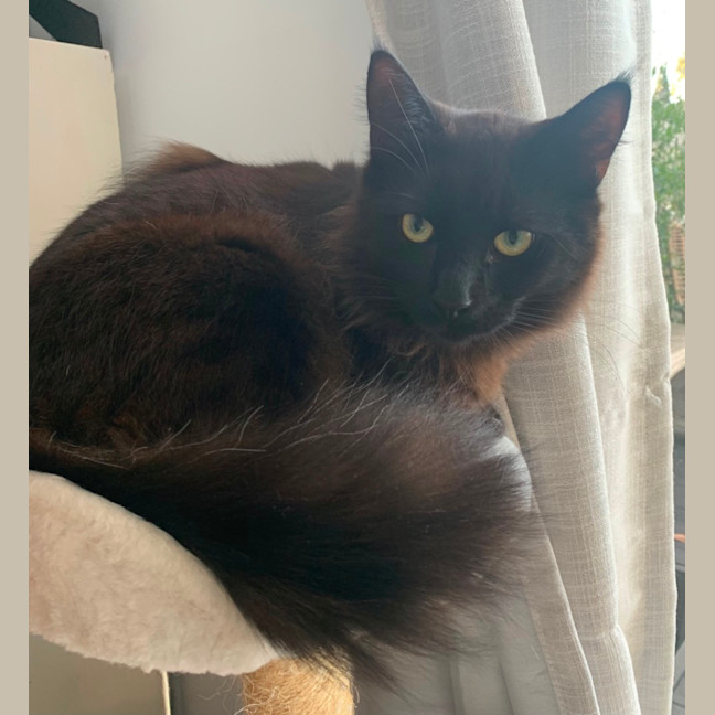 Photo of Puff