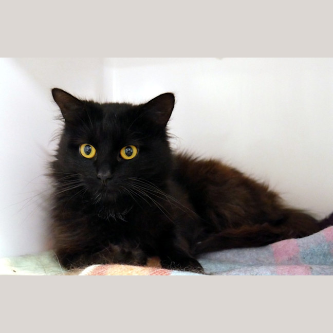 Photo of Jett Sta015183