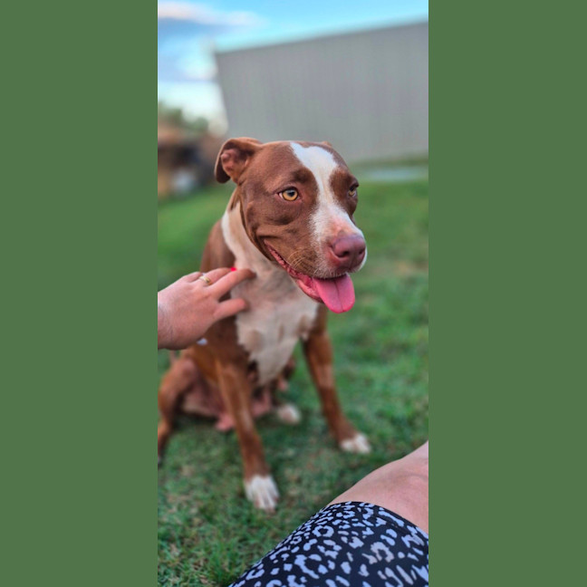 Photo of Norah