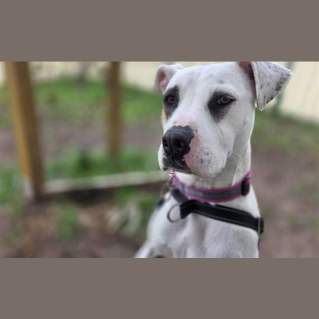 Photo of Maggie