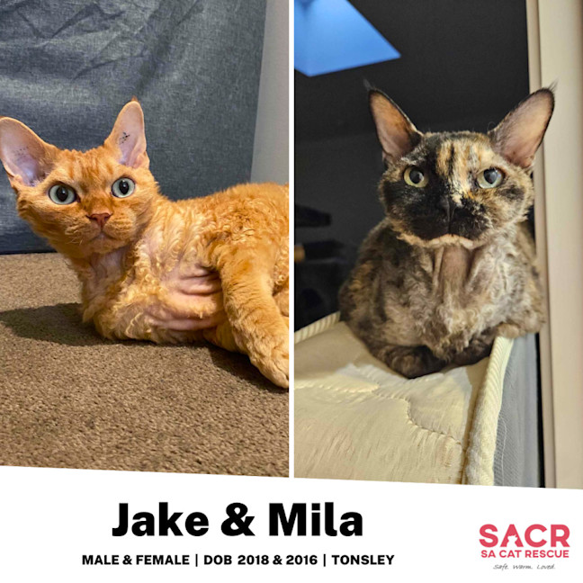 Photo of Jake & Mila