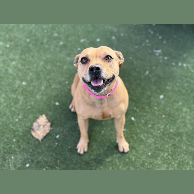 Photo of Molly Imp 1419