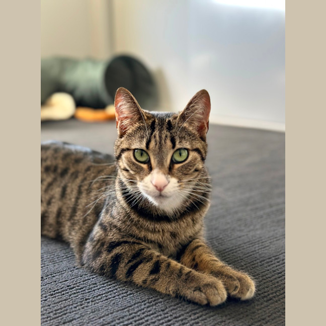 Photo of Lou Lou