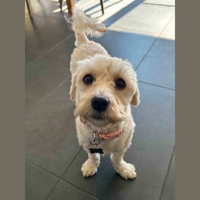 Photo of Lucy