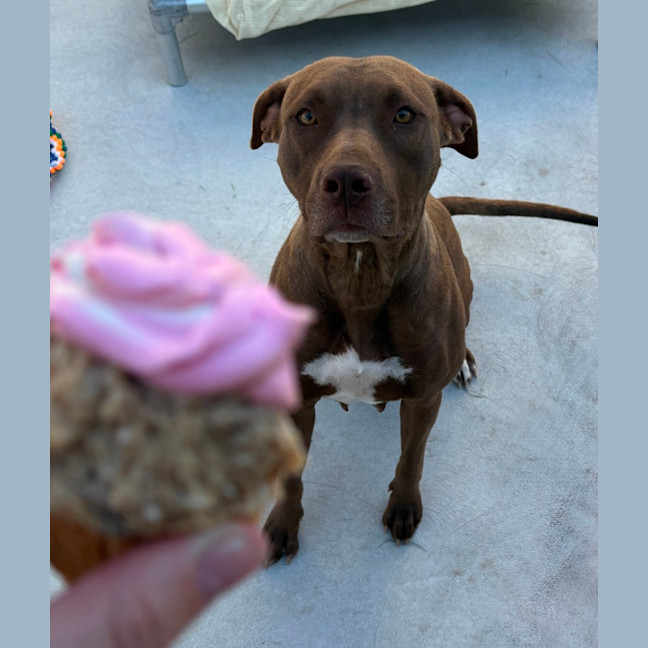 Photo of Winnie