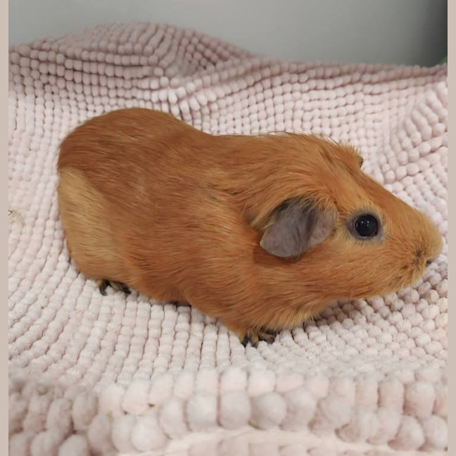 Photo of Barry