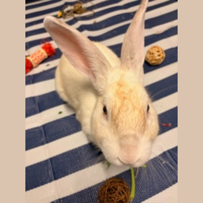 Photo of Victor