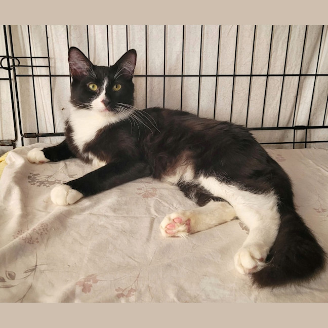 Photo of Jaxson 🖤