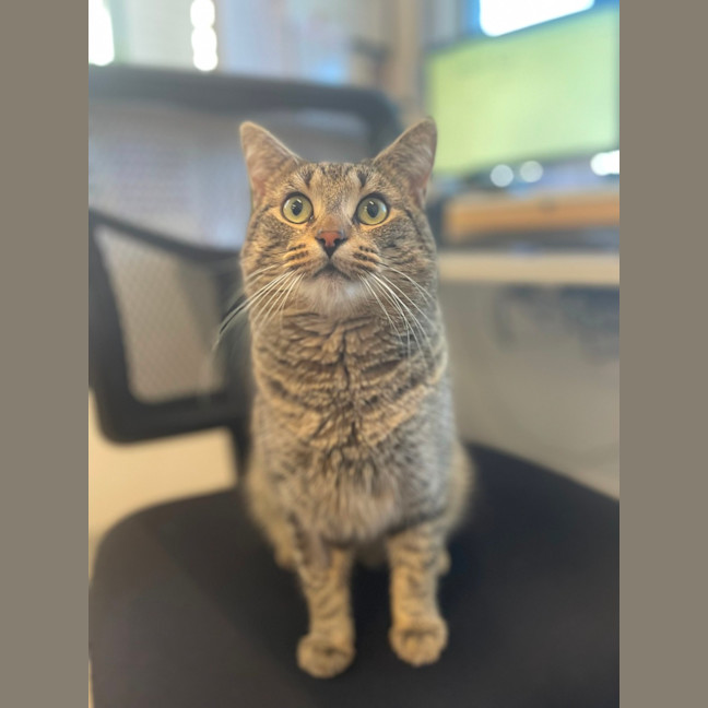 Photo of 😸 Clyde 5373😸