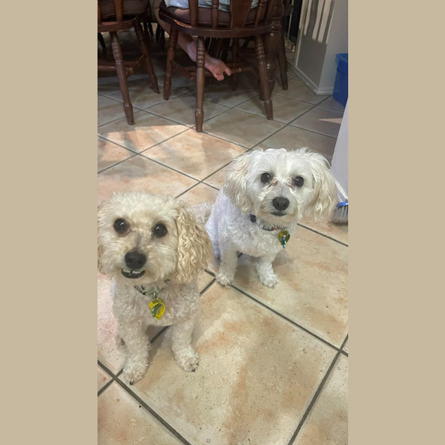 Photo of Pluto / Astro