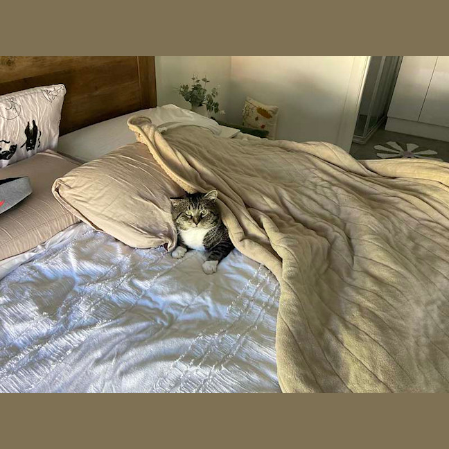 Photo of Toby
