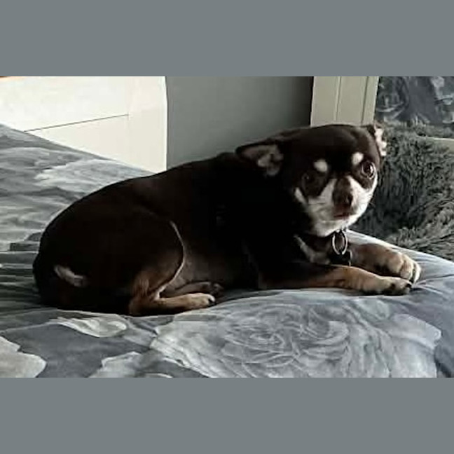 Photo of Sid