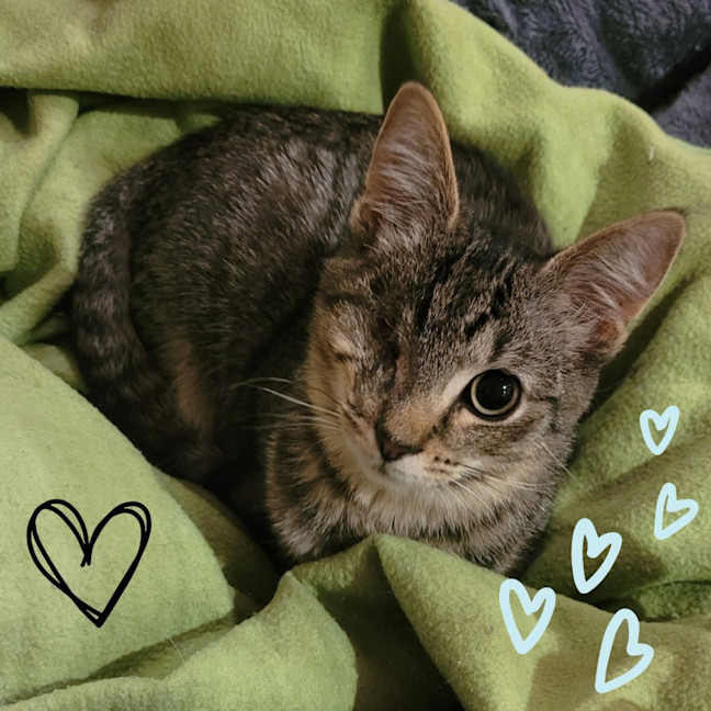 Photo of 💖 Chloe & Charlie 💖