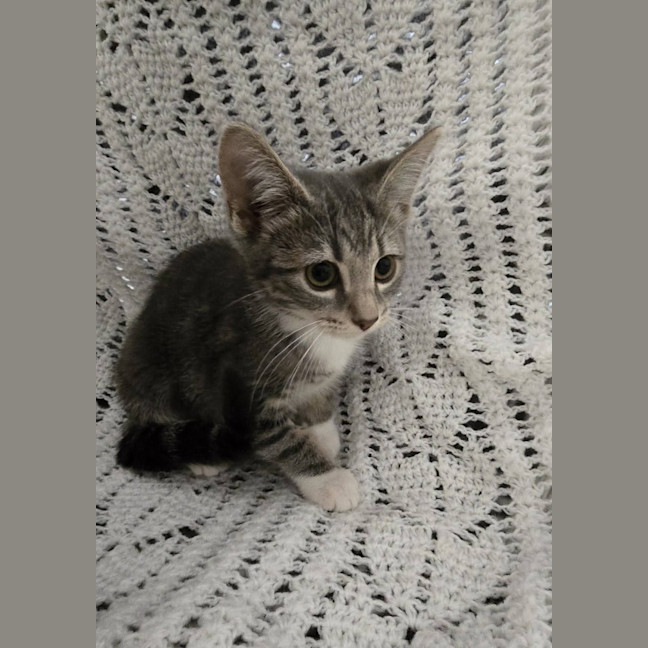 Photo of Maelle