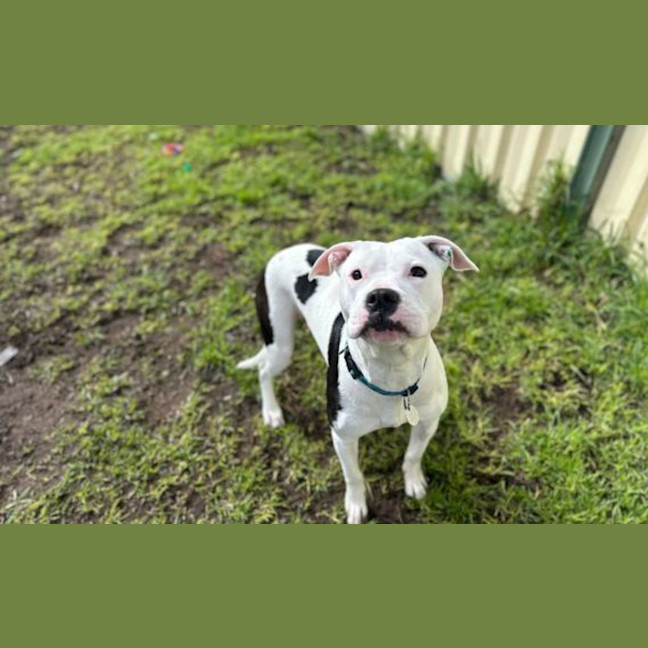 Photo of Sheila