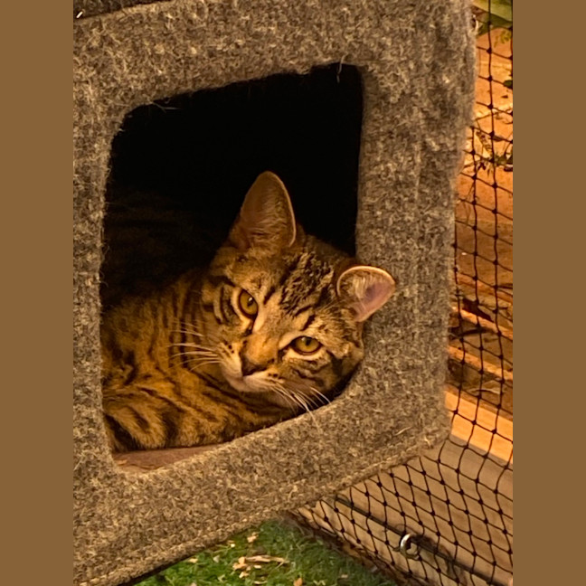 Photo of Timmy