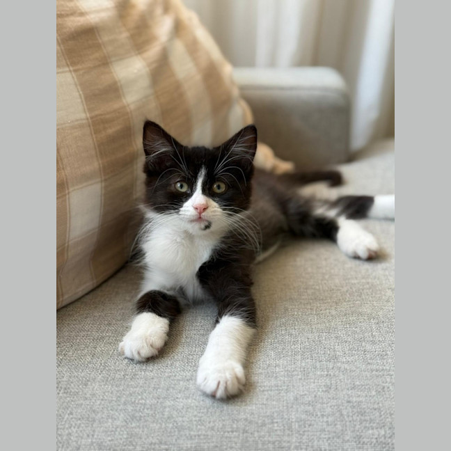 Photo of Andre And Gabby