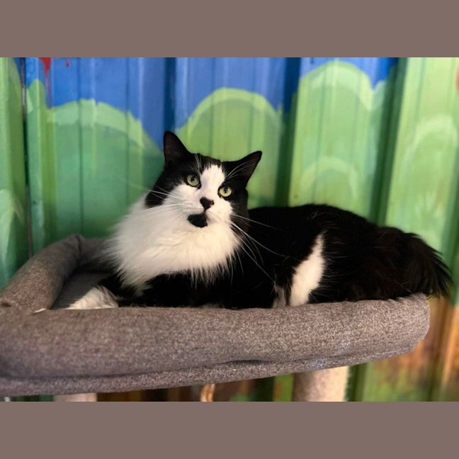 Photo of Mach