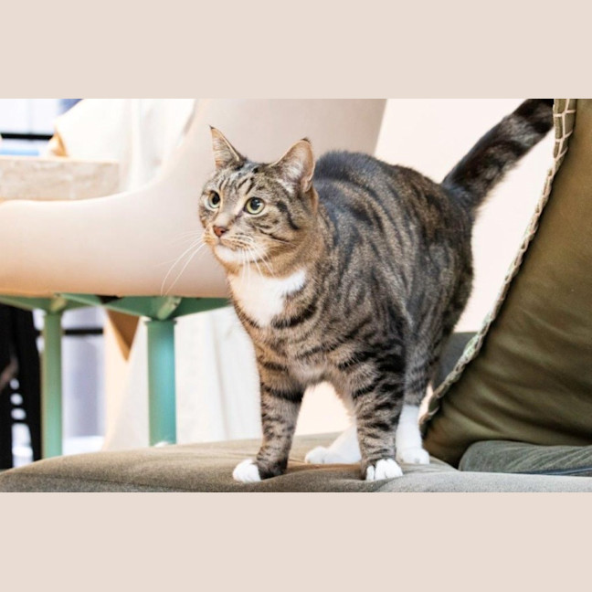 Photo of Louie Haliwell