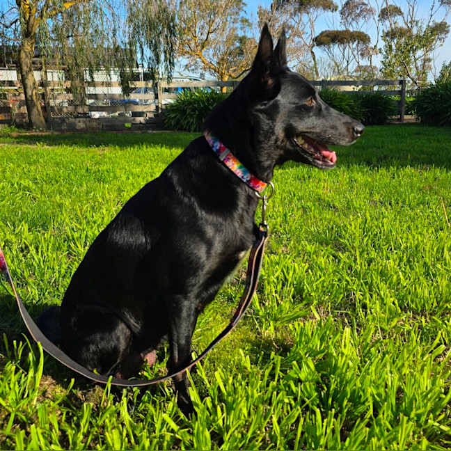 Photo of Bess